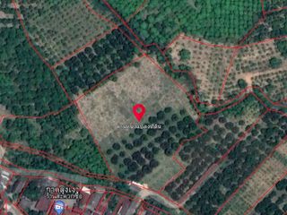 出售 土地 在 Ban Hong, Lamphun