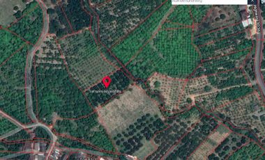 Terreno en venta en Ban Hong, Lamphun
