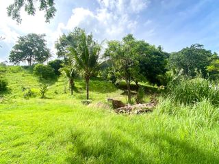For sale land in Mueang Phuket, Phuket