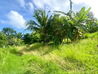For sale land in Mueang Phuket, Phuket