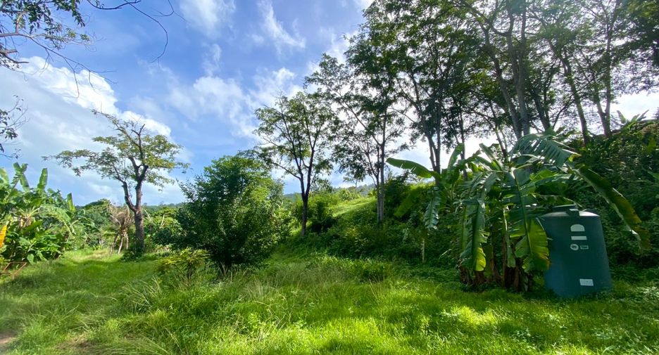 À vendre terrain à Mueang Phuket, Phuket