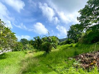 For sale land in Mueang Phuket, Phuket