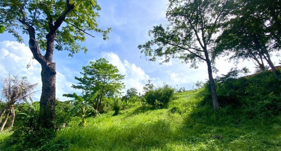 À vendre terrain à Mueang Phuket, Phuket