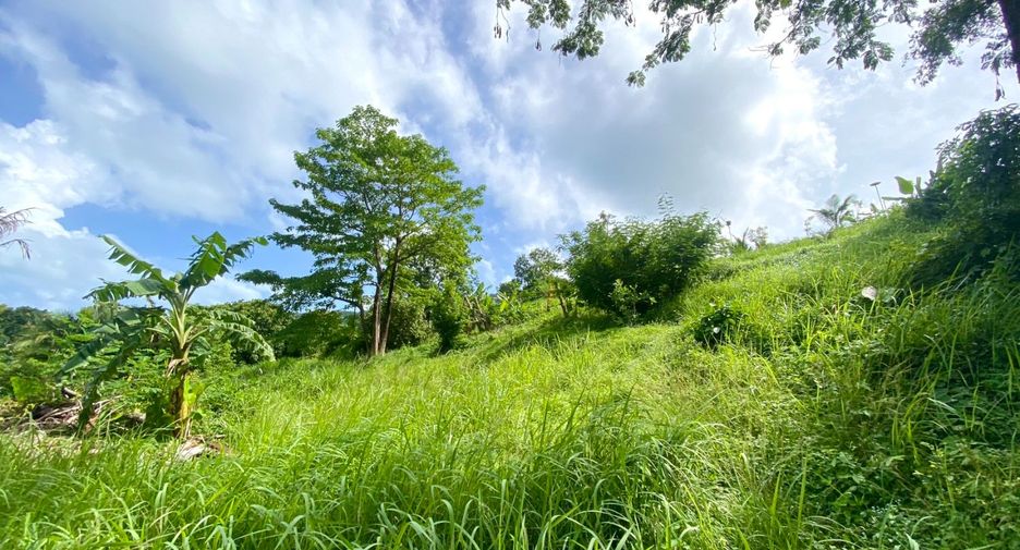 À vendre terrain à Mueang Phuket, Phuket