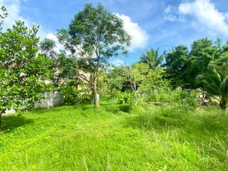 For sale land in Mueang Phuket, Phuket