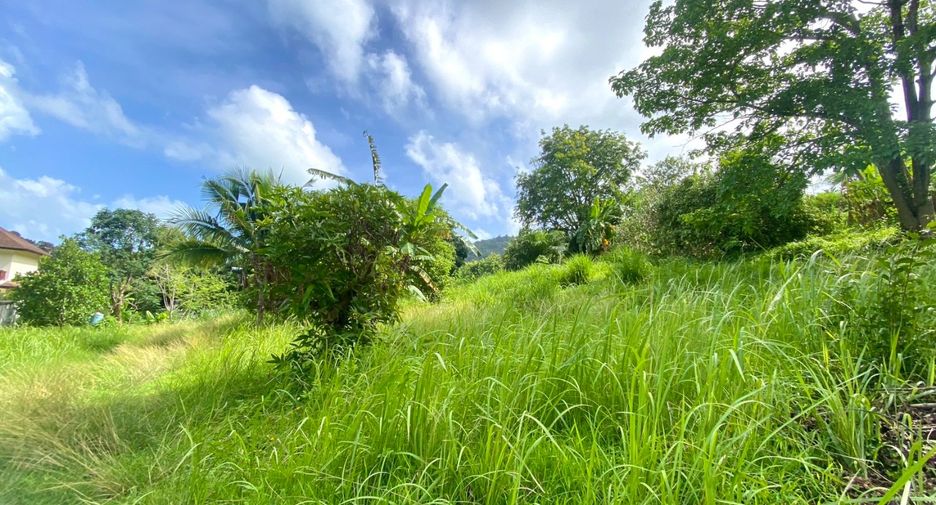 À vendre terrain à Mueang Phuket, Phuket