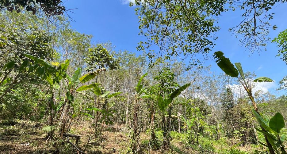 出售 土地 在 Takua Thung, Phangnga