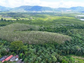 For sale land in Takua Thung, Phang Nga