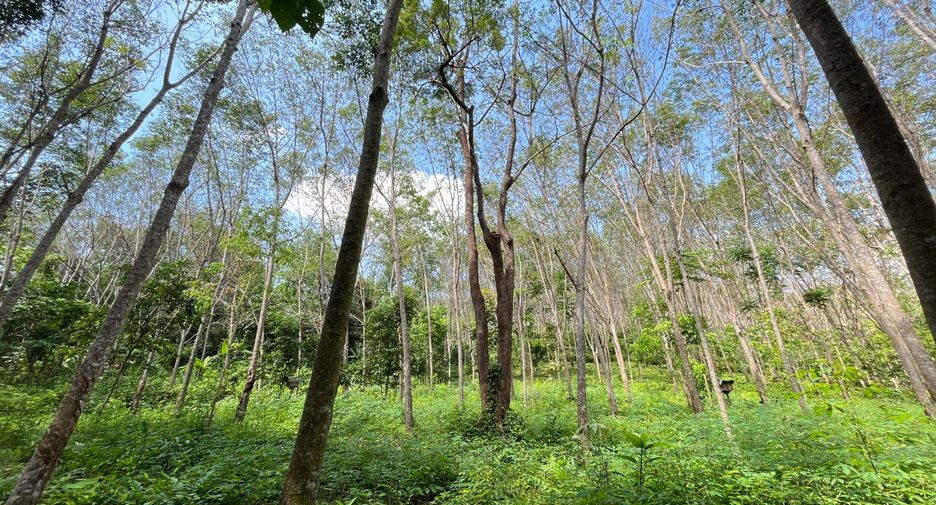 出售 土地 在 Takua Thung, Phangnga