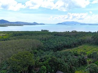 For sale land in Takua Thung, Phang Nga