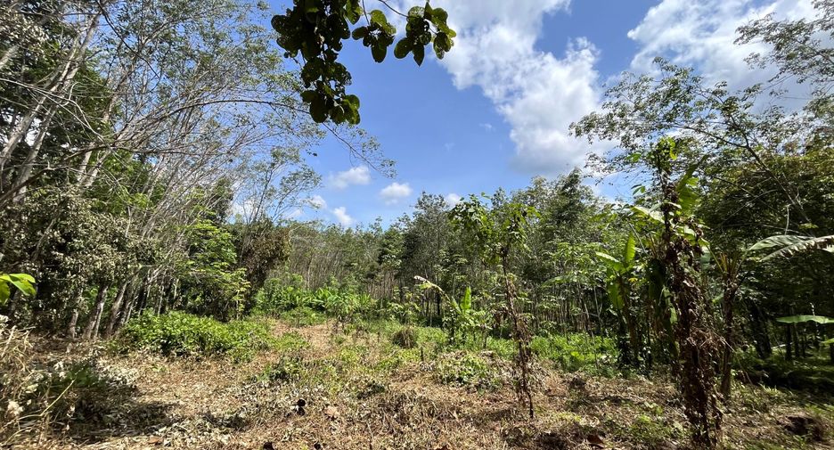 出售 土地 在 Takua Thung, Phangnga