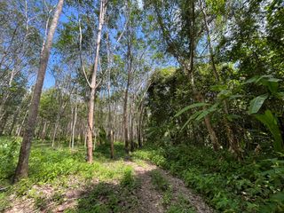 For sale land in Takua Thung, Phang Nga