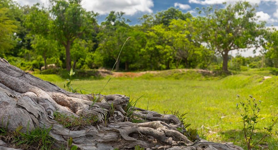 For sale land in Mueang Ubon Ratchathani, Ubon Ratchathani