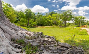 For sale land in Mueang Ubon Ratchathani, Ubon Ratchathani