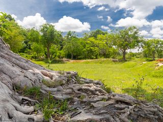 For sale land in Mueang Ubon Ratchathani, Ubon Ratchathani