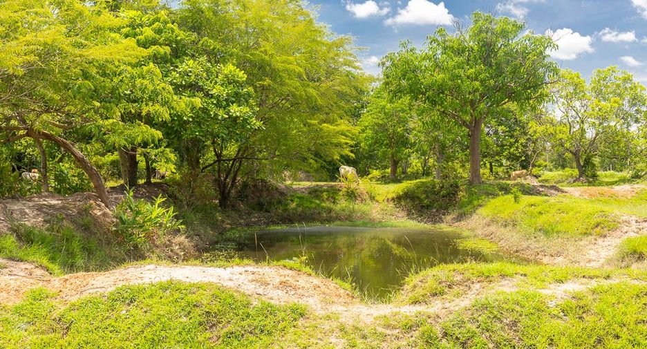 For sale land in Mueang Ubon Ratchathani, Ubon Ratchathani