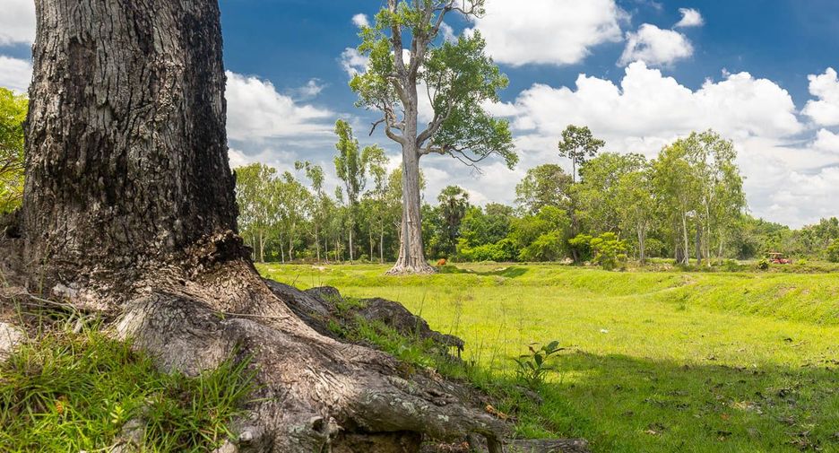 For sale land in Mueang Ubon Ratchathani, Ubon Ratchathani