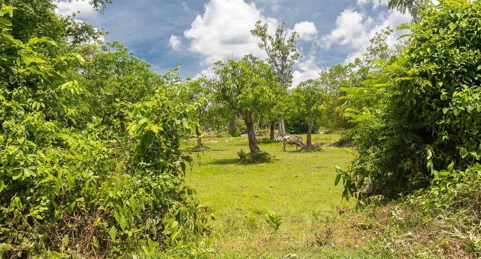 For sale land in Mueang Ubon Ratchathani, Ubon Ratchathani
