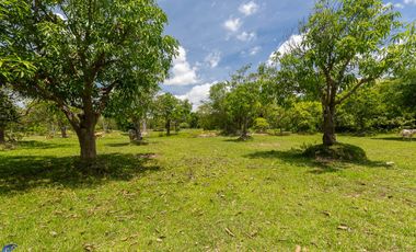 For sale land in Mueang Ubon Ratchathani, Ubon Ratchathani