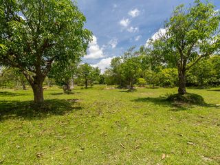 For sale land in Mueang Ubon Ratchathani, Ubon Ratchathani