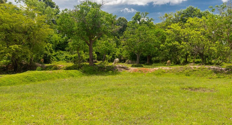 For sale land in Mueang Ubon Ratchathani, Ubon Ratchathani