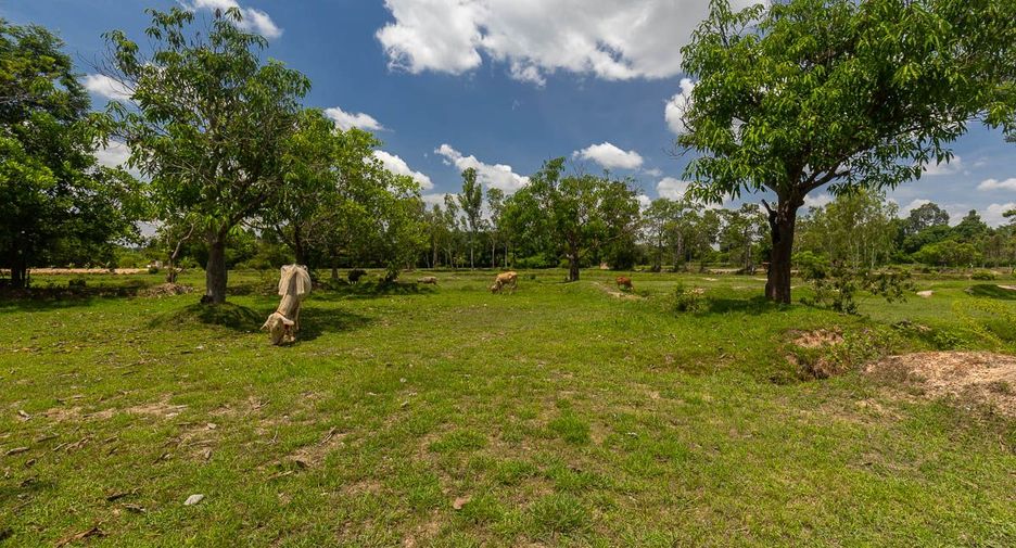 For sale land in Mueang Ubon Ratchathani, Ubon Ratchathani