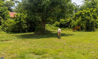 For sale land in Mueang Ubon Ratchathani, Ubon Ratchathani