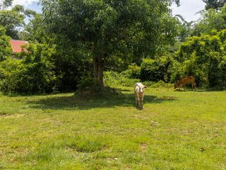For sale land in Mueang Ubon Ratchathani, Ubon Ratchathani