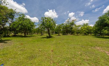 For sale land in Mueang Ubon Ratchathani, Ubon Ratchathani