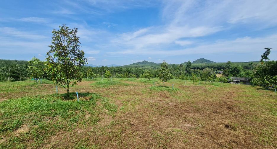 For sale land in Wang Chan, Rayong