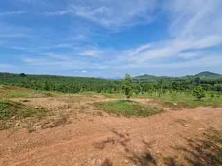 出售 土地 在 Wang Chan, Rayong