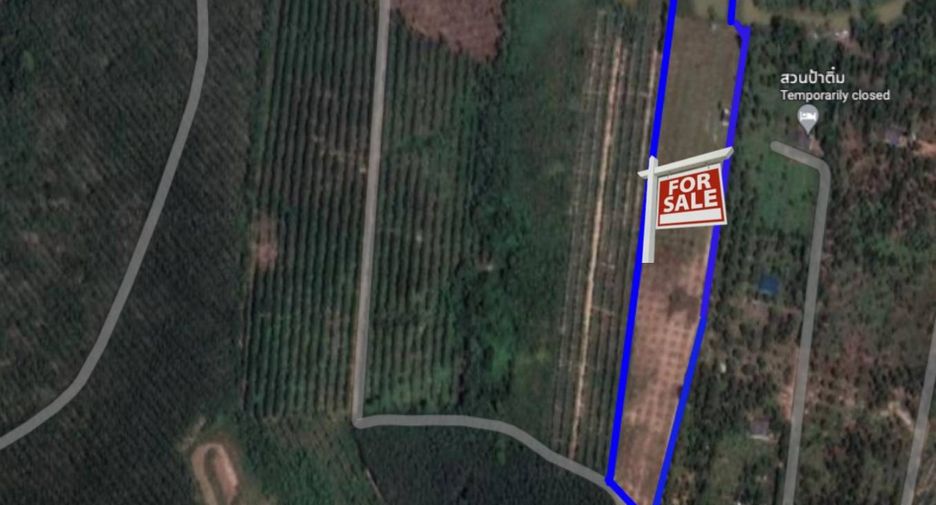 For sale land in Wang Chan, Rayong