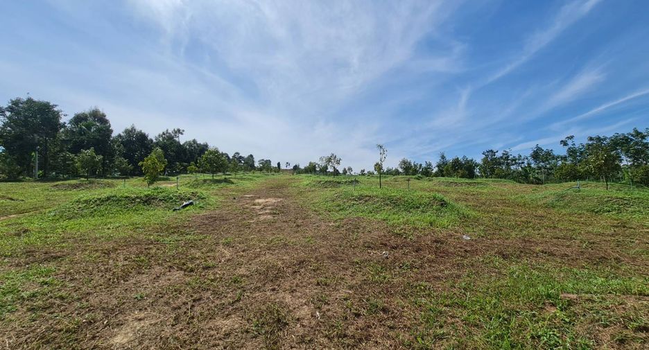 For sale land in Wang Chan, Rayong