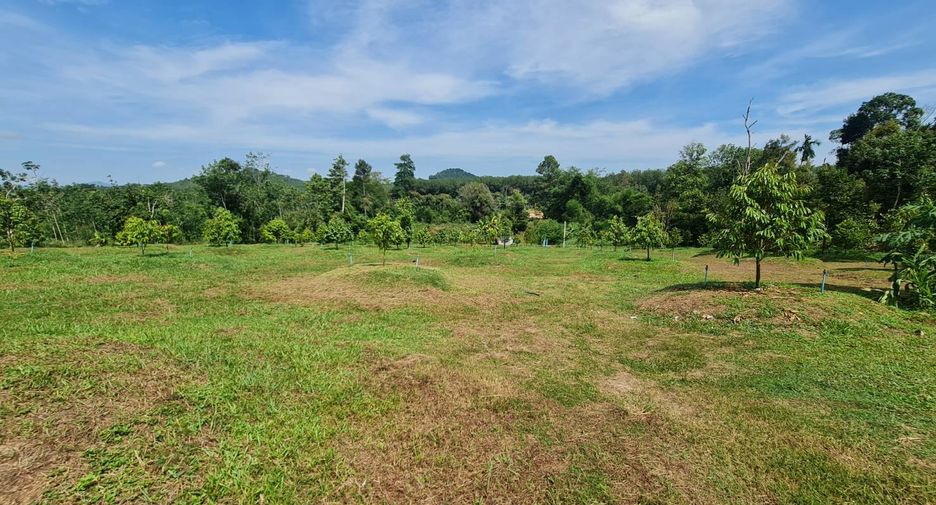 For sale land in Wang Chan, Rayong
