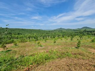 出售 土地 在 Wang Chan, Rayong