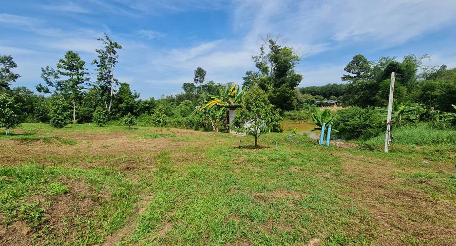 For sale land in Wang Chan, Rayong