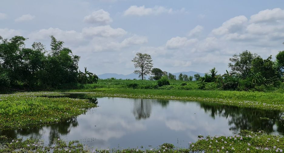 For rent land in Mueang Chiang Rai, Chiang Rai