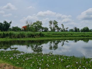 For rent land in Mueang Chiang Rai, Chiang Rai