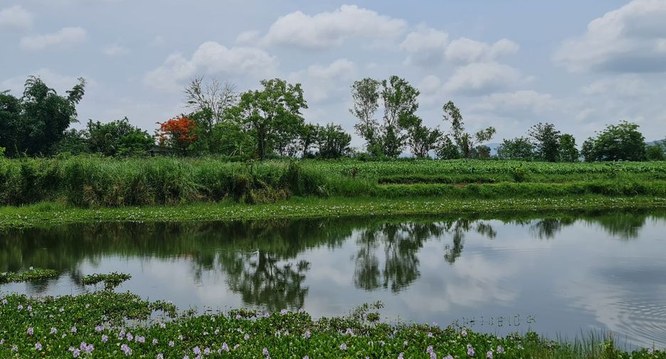 For rent land in Mueang Chiang Rai, Chiang Rai