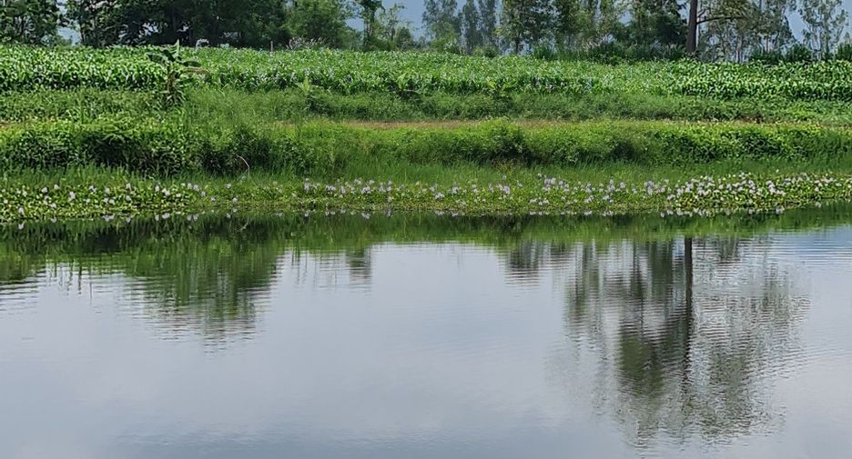 For rent land in Mueang Chiang Rai, Chiang Rai