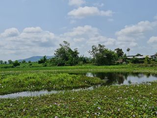 For rent land in Mueang Chiang Rai, Chiang Rai
