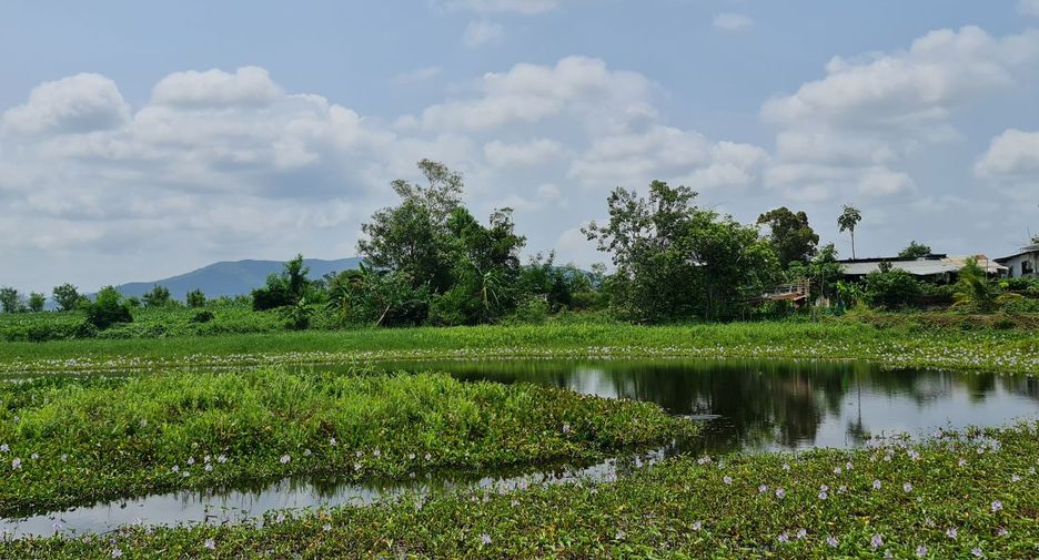 For rent land in Mueang Chiang Rai, Chiang Rai