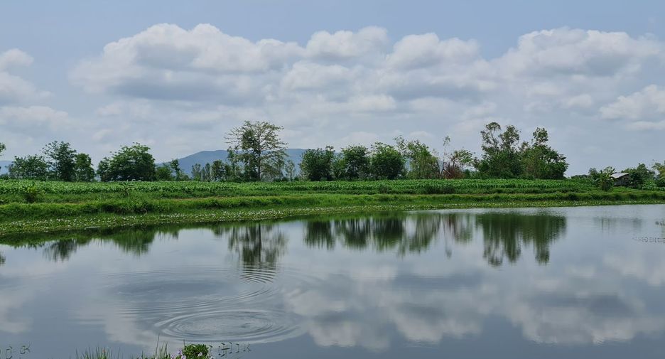 For rent land in Mueang Chiang Rai, Chiang Rai
