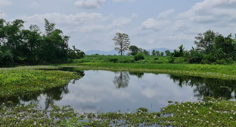 For rent land in Mueang Chiang Rai, Chiang Rai