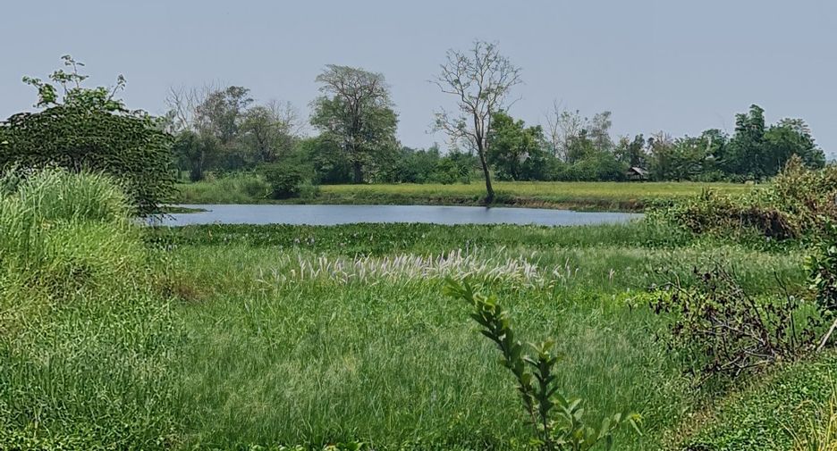 For rent land in Mueang Chiang Rai, Chiang Rai