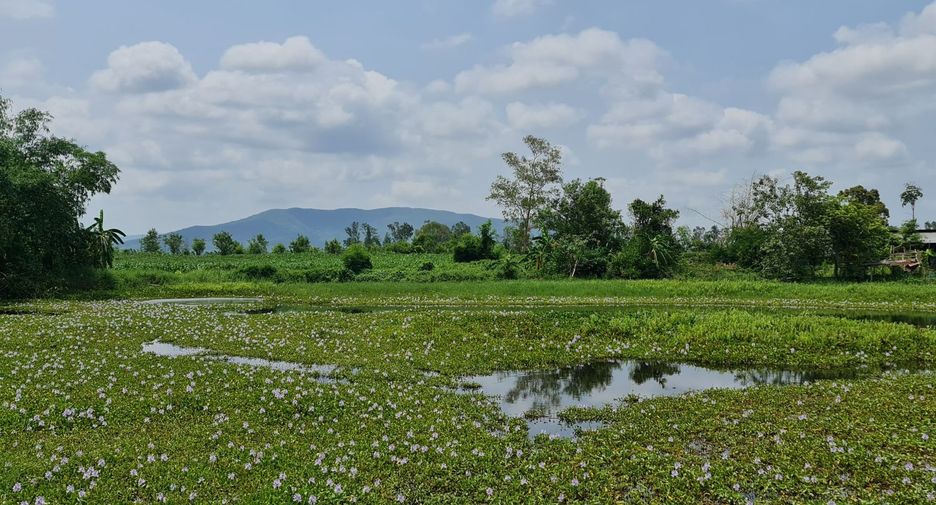 For rent land in Mueang Chiang Rai, Chiang Rai