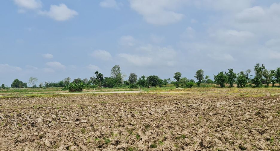 For rent land in Mueang Chiang Rai, Chiang Rai
