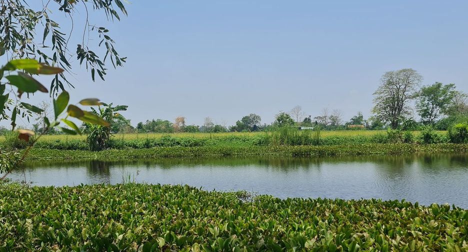 For rent land in Mueang Chiang Rai, Chiang Rai