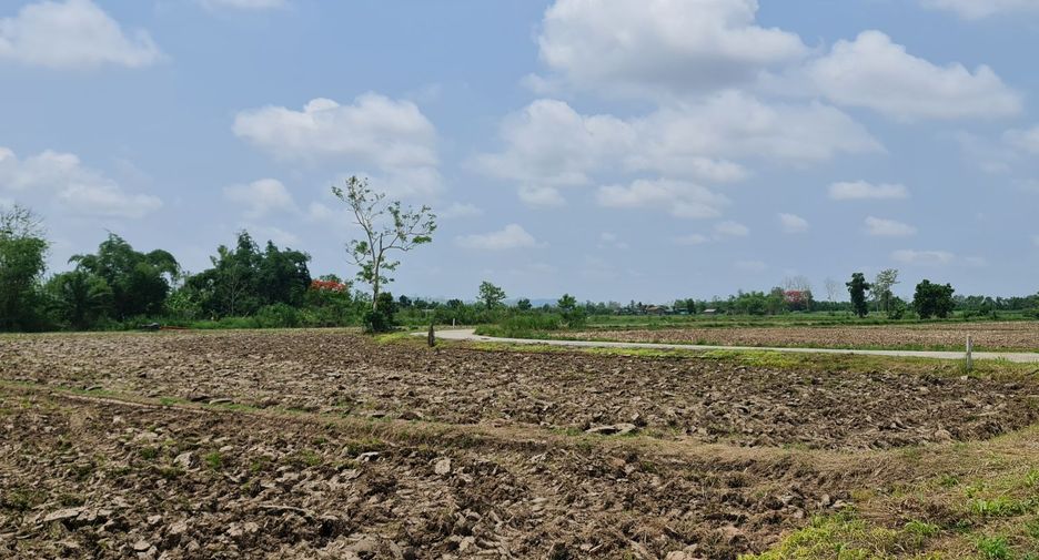 For rent land in Mueang Chiang Rai, Chiang Rai
