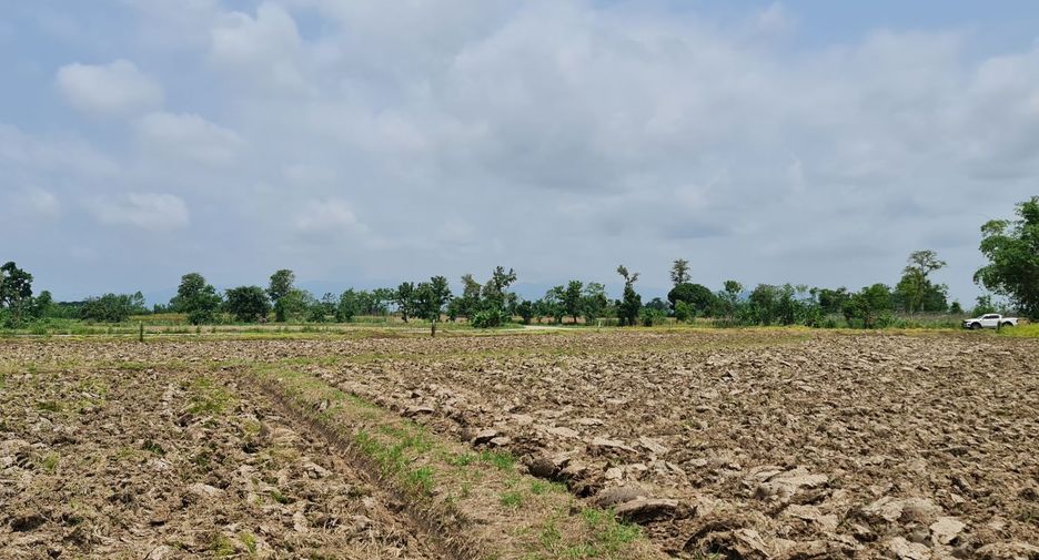For rent land in Mueang Chiang Rai, Chiang Rai